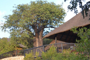 Отель Adansonia Eco Lodge  Мусина